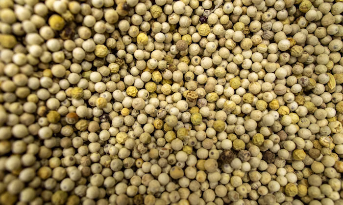 Specialty / Water Solubles fertiliser product